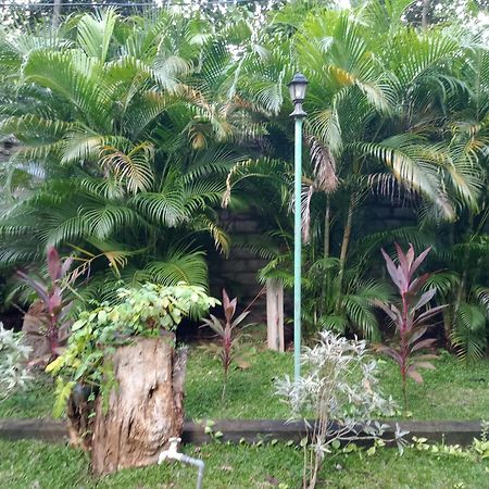 Kithmi Resort โปลอนนารูวา ภายนอก รูปภาพ