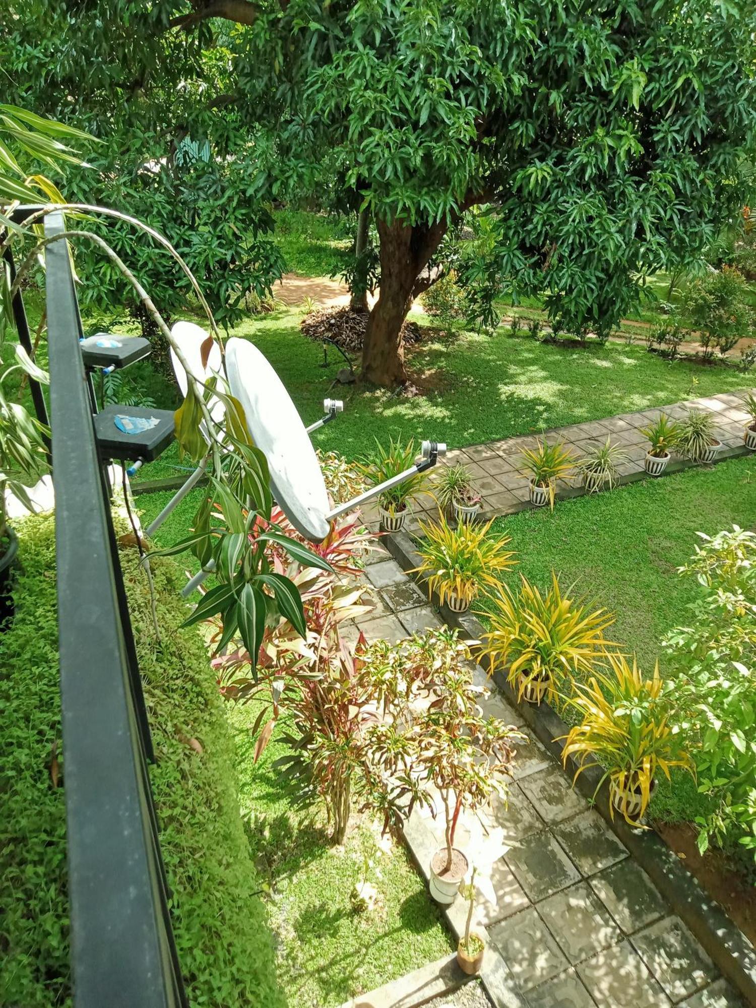 Kithmi Resort โปลอนนารูวา ภายนอก รูปภาพ
